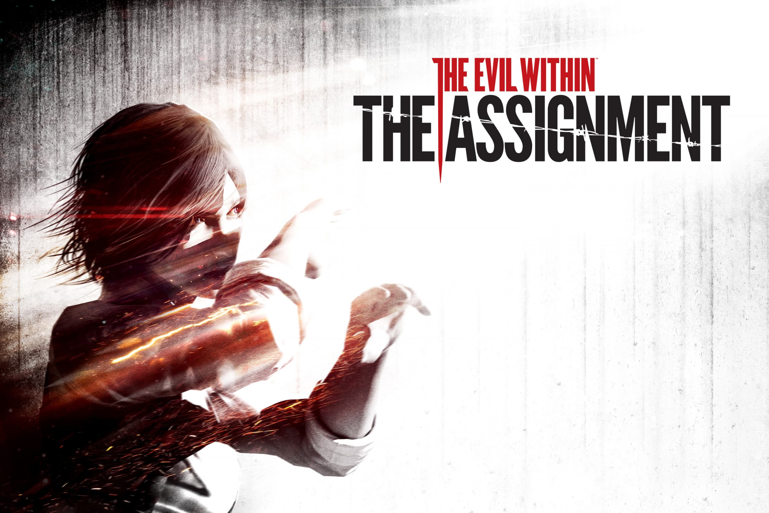 Jaquette The Evil Within - The Assignment