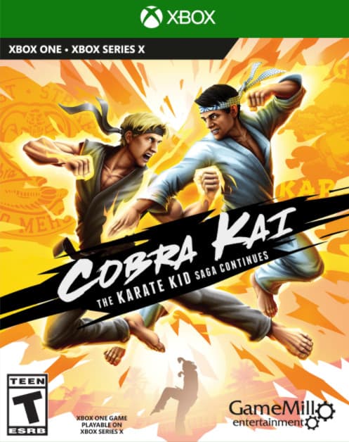 Jaquette Cobra Kai : The Karate Kid Continues