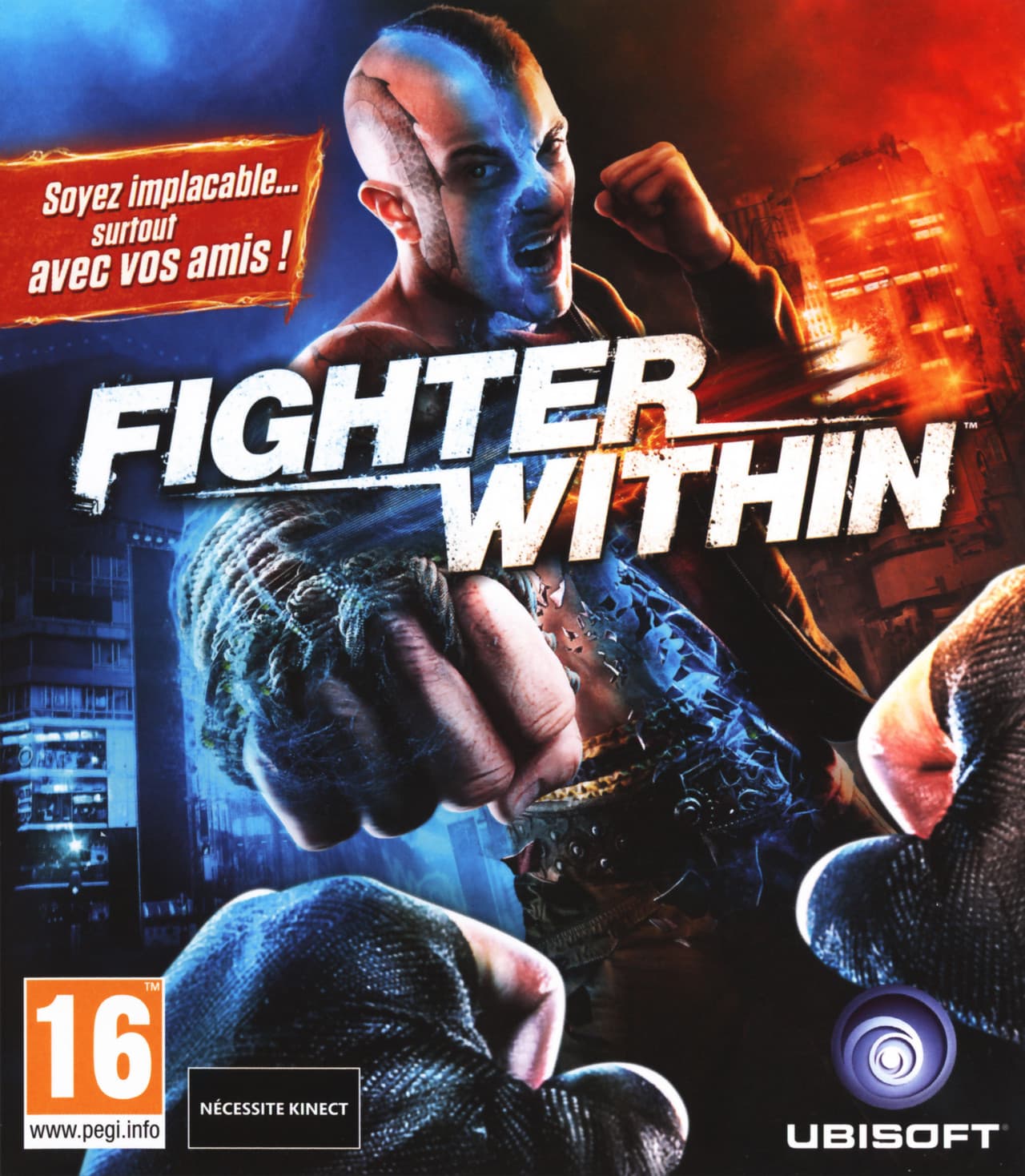 Jaquette Fighter Within