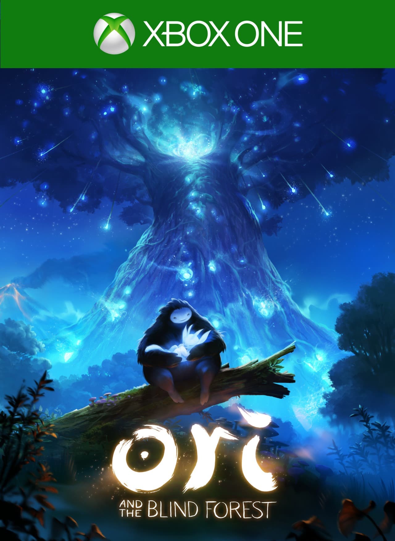Jaquette Ori and the Blind Forest