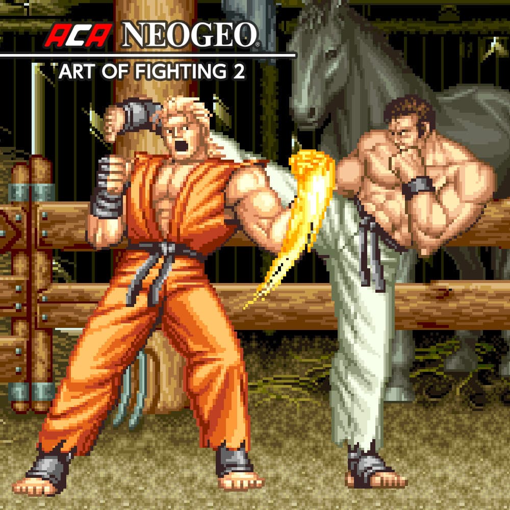 Jaquette ACA NEOGEO Art of Fighting 2