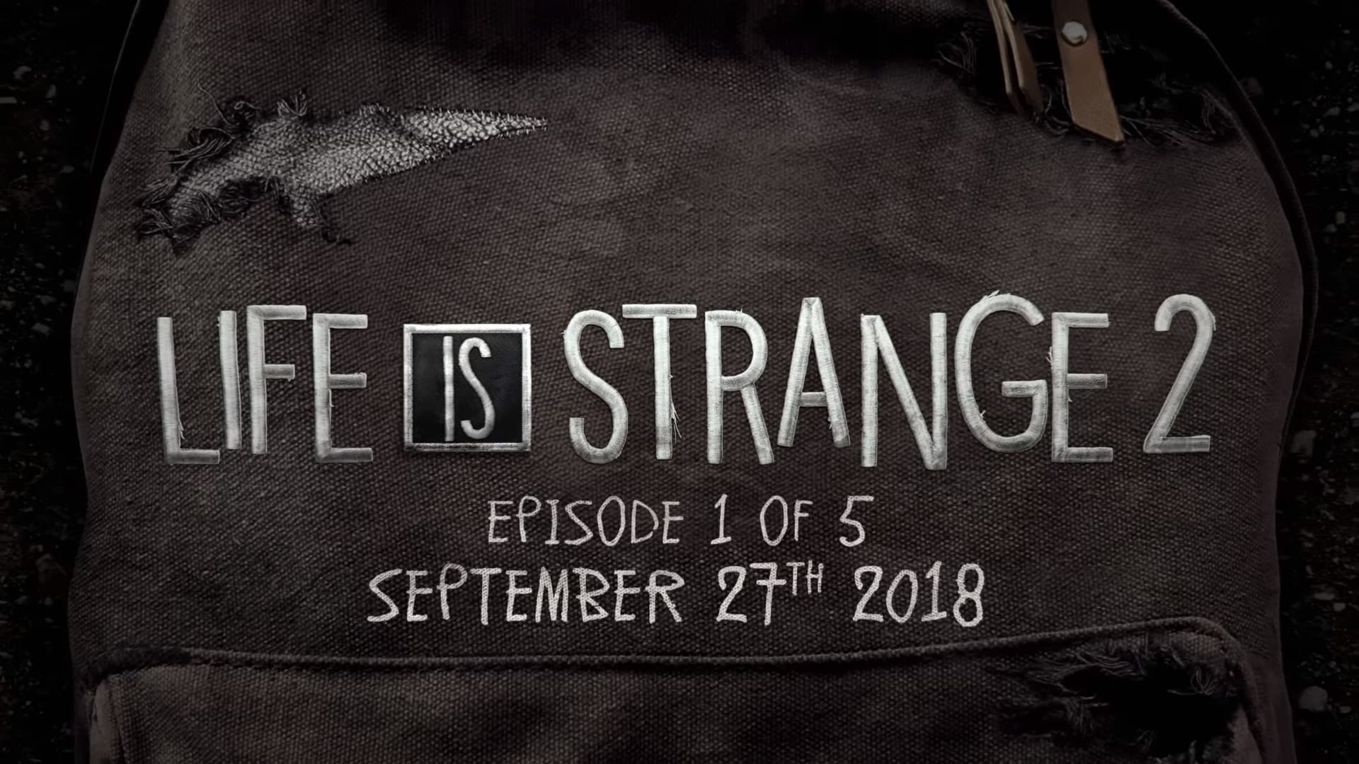 Jaquette Life is Strange 2 : pisode 1 - Roads