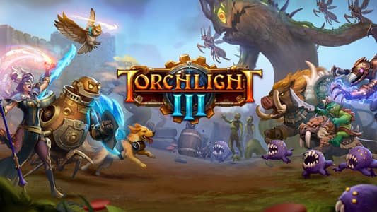 Jaquette Torchlight III