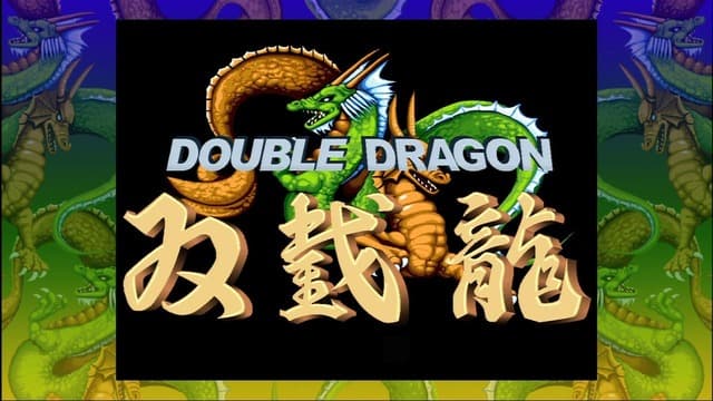 Jaquette Double Dragon