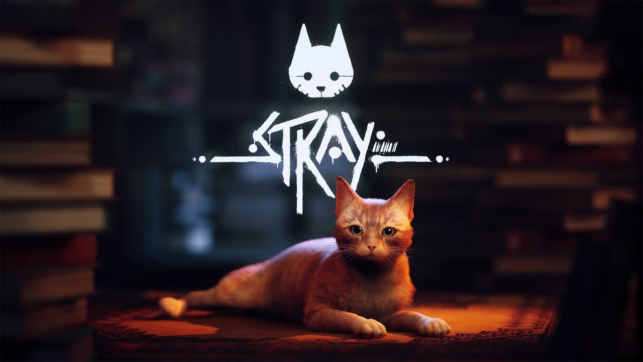 Stray: le jeu sera bien aussi sur Xbox !