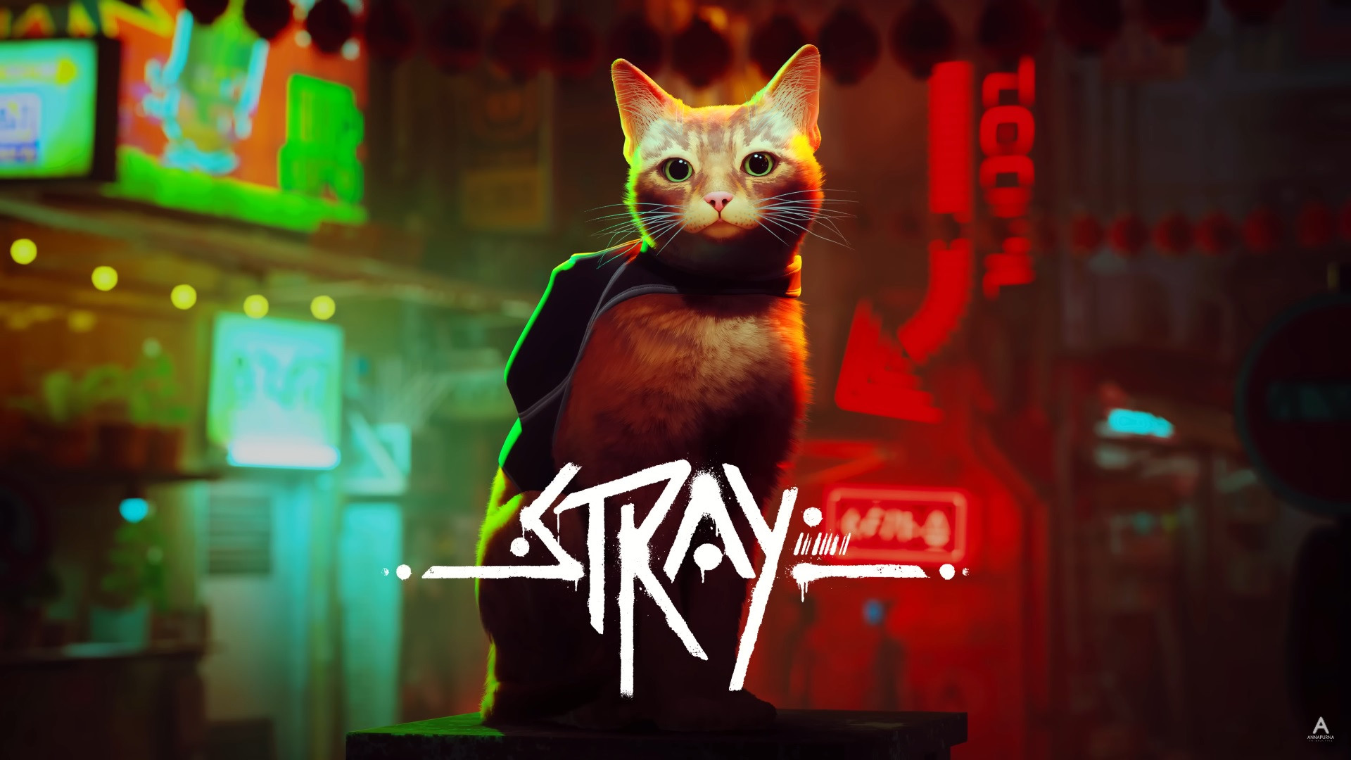 Stray arrive sur Xbox.