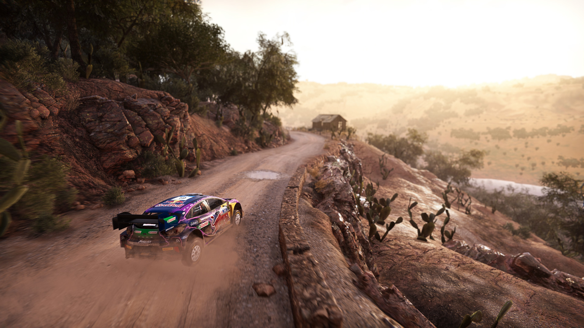 Xbox Series X & S WRC Generations