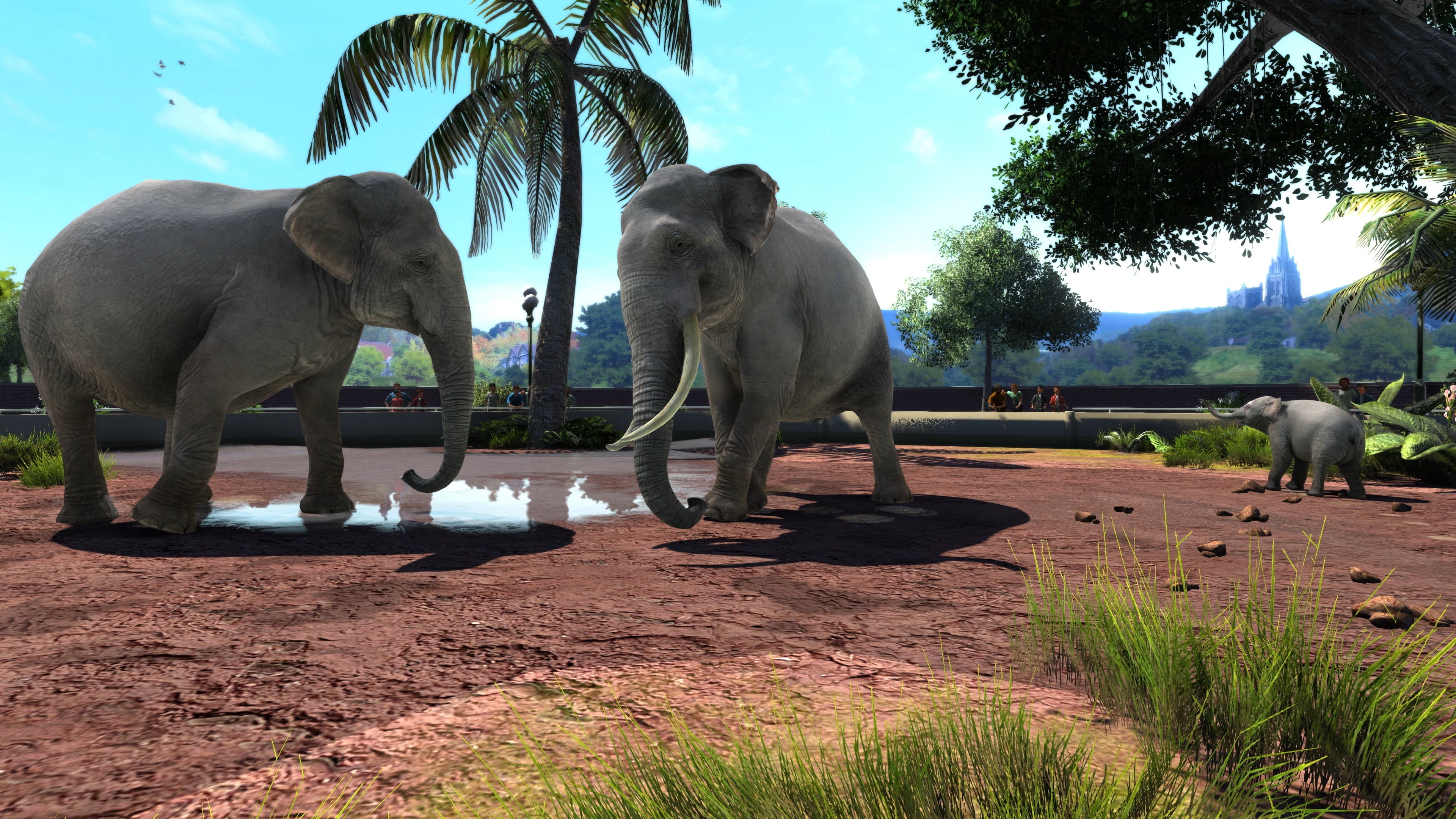 Zoo Tycoon : Ultimate Animal Collection Xbox